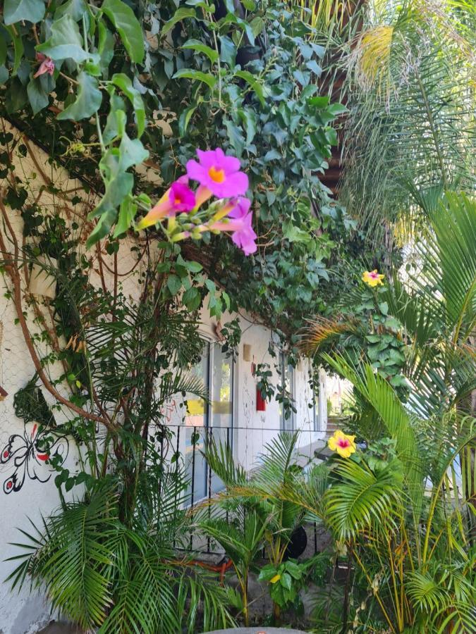 Hotel Villas Mariposas อัทลิซโก ภายนอก รูปภาพ