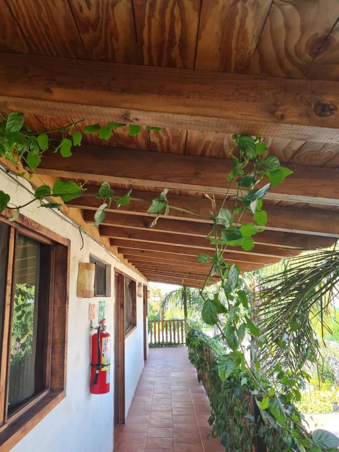 Hotel Villas Mariposas อัทลิซโก ภายนอก รูปภาพ