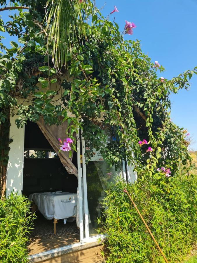 Hotel Villas Mariposas อัทลิซโก ภายนอก รูปภาพ