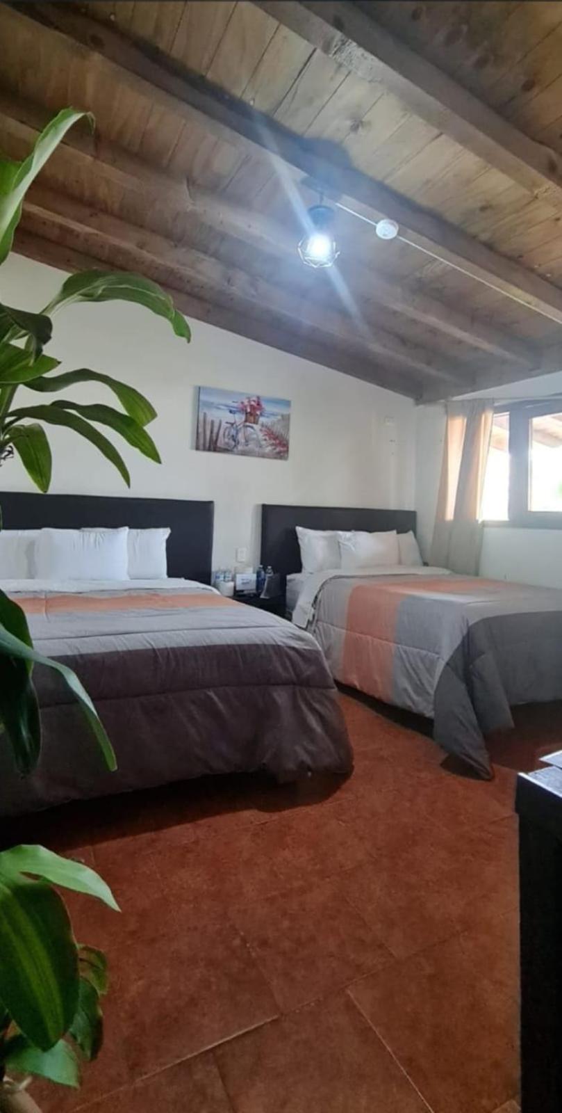 Hotel Villas Mariposas อัทลิซโก ภายนอก รูปภาพ